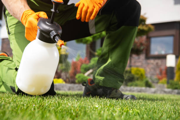 Best Emergency Pest Control  in Haven, KS