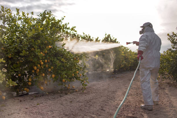 Best Pest Control Near Me in Haven, KS