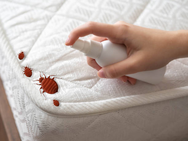 Best Pest Prevention Services  in Haven, KS